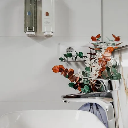 Espazo Nature Campingplads Carballo